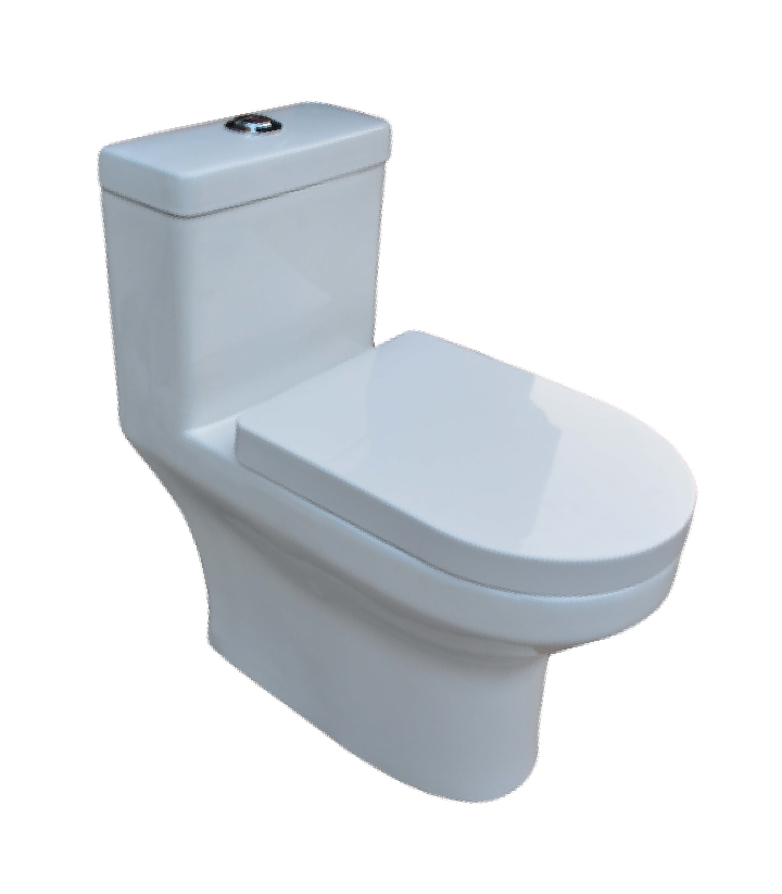 One piece siphonic toilet 