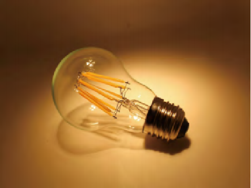 Filament  Bulb